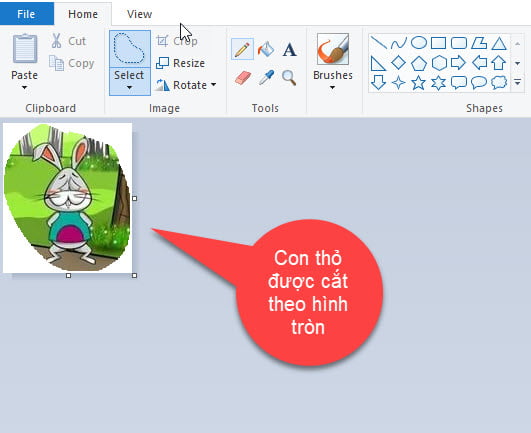 Hình con thỏ được cắt