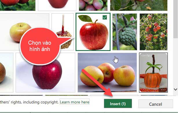 chọn vào hình ảnh trong excel