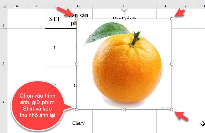 chỉnh ảnh vừa ô trong Excel