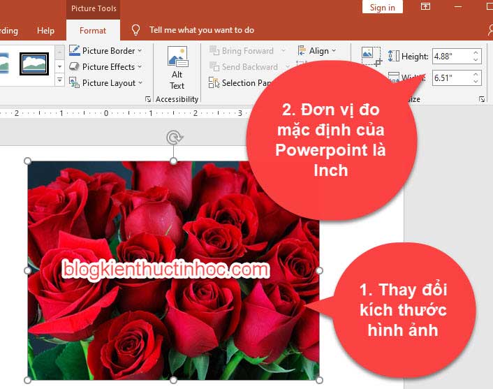 cách đổi đơn vị inch sang cm trong powerpoint