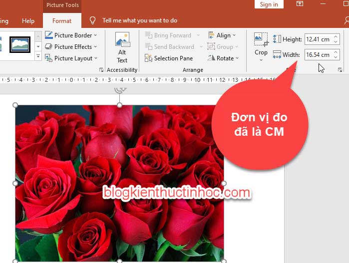 đổi in sang cm trong powerpoint
