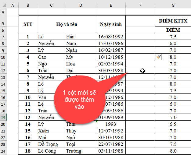 chen-cot-trong-excel