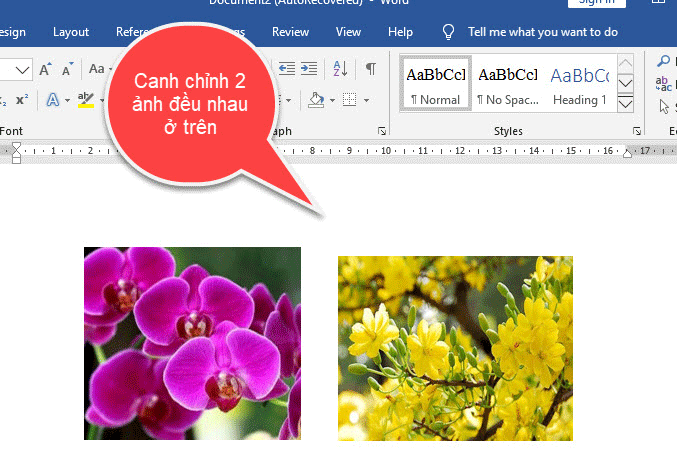 chinh-vi-tri-cua-anh-trong-word-1