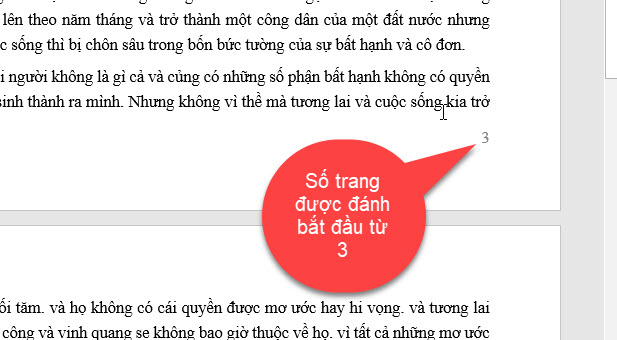 cách đánh số trang trong word