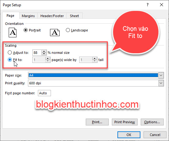 dinh-dang-trang-in-trong-page-setup-excel