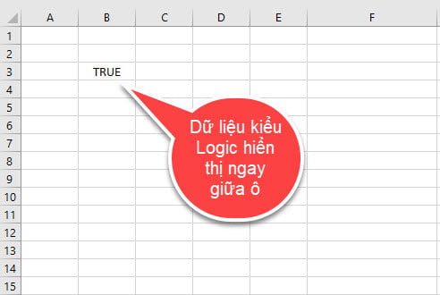 du-lieu-logic-trong-excel