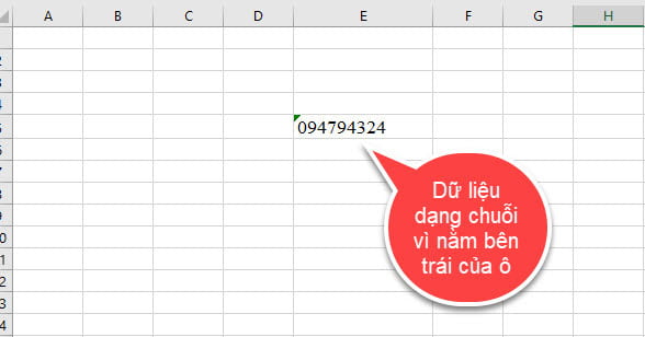 kieu-du-lieu-trong-excel-1