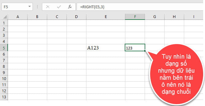 kieu-du-lieu-trong-excel-2