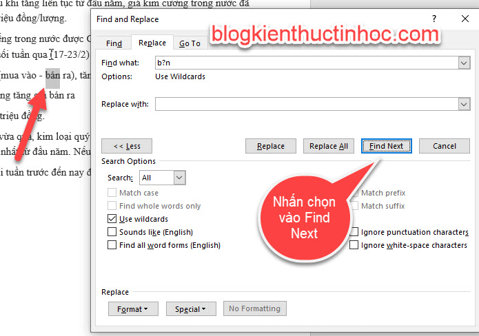 su-dung-find-and-replace-trong-word-11