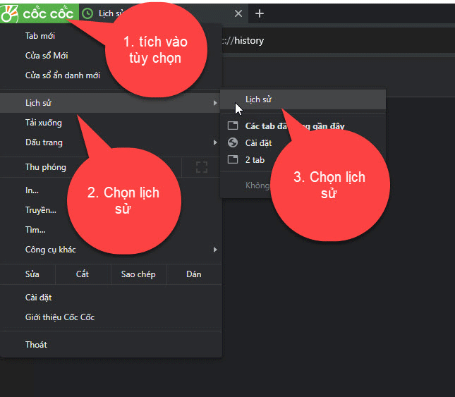 Vào lịch sử của Cococ